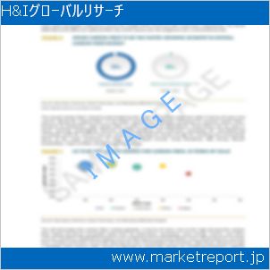 市場と産業調査レポートのイメージ